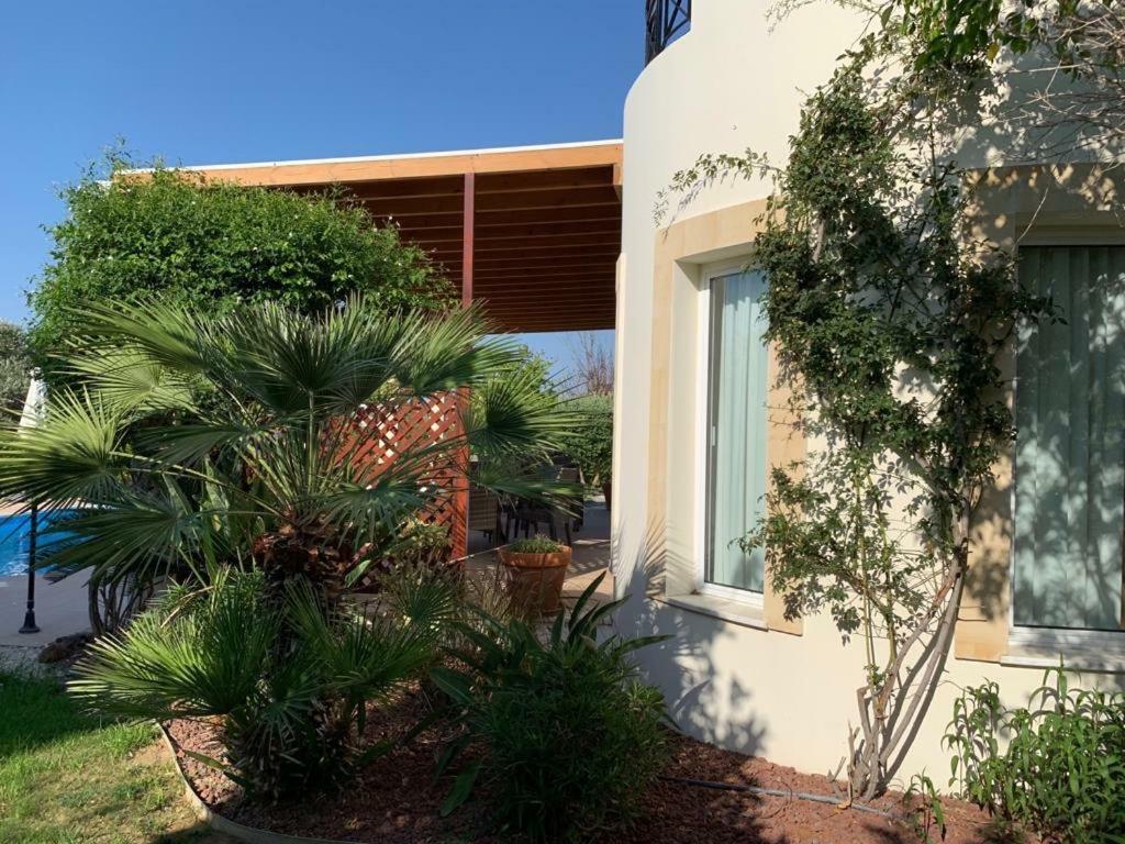 Beach Villa Sofia Neo Chorio Exterior foto